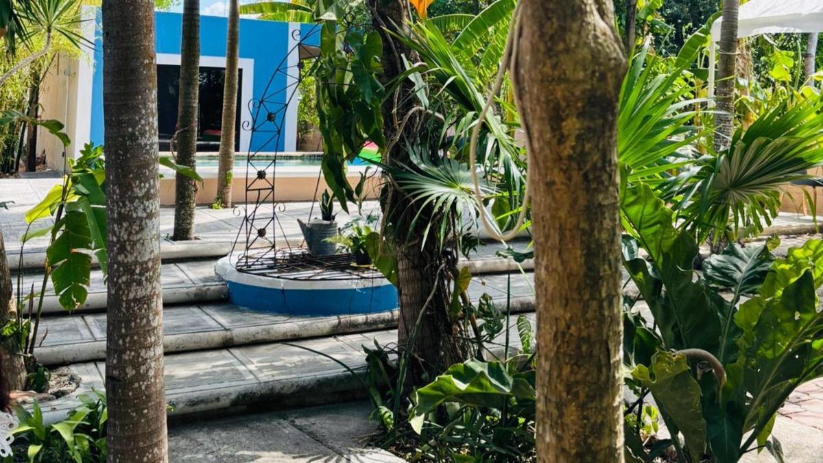 Hostal Y Camping Villa Mercedes Тісімин Екстер'єр фото